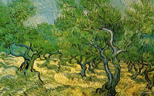 HD desktop wallpaper featuring an artistic rendition of Vincent Van Gogh’s iconic olive trees with textured brushstrokes and vibrant greens.