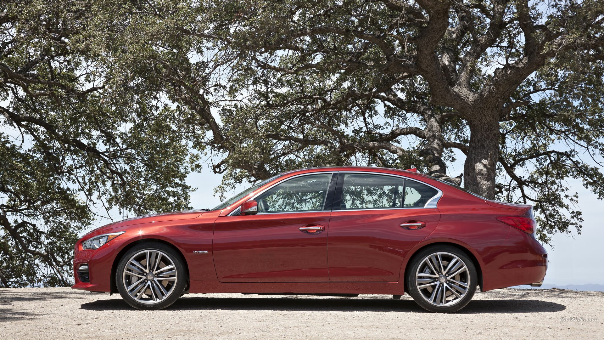 Download Vehicle Infiniti Q50 HD Wallpaper