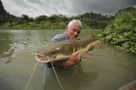 A scene from River Monsters, featuring a man holding a large catfish while standing in a river surrounded by lush greenery, captured in vibrant HD quality for desktop wallpaper.