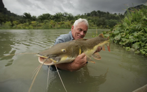 A scene from River Monsters, featuring a man holding a large catfish while standing in a river surrounded by lush greenery, captured in vibrant HD quality for desktop wallpaper.