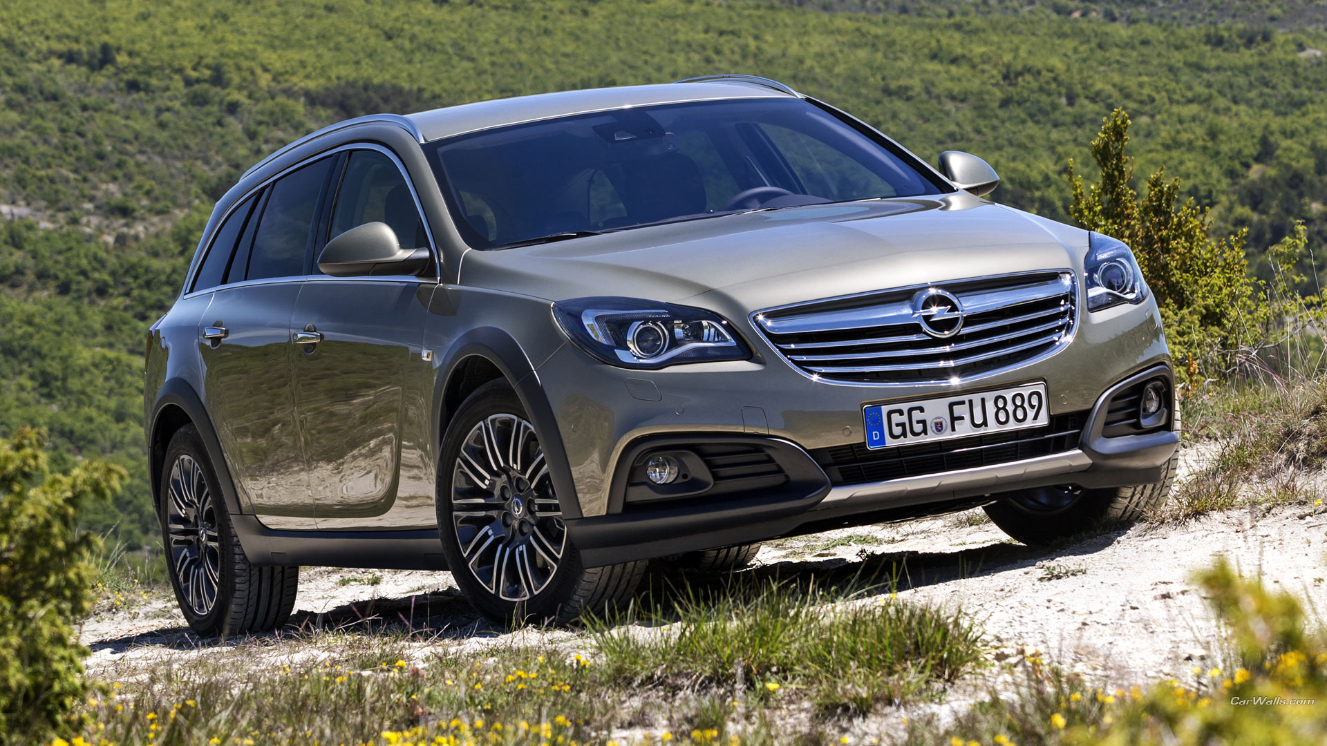 Horse translator weekly 2014 Opel Insignia Country Tourer HD Wallpapers and Backgrounds