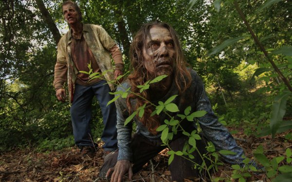 TV Show The Walking Dead Zombie HD Wallpaper | Background Image