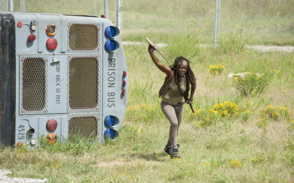 Michonne (The Walking Dead) Danai Gurira TV Show The Walking Dead HD Desktop Wallpaper | Background Image