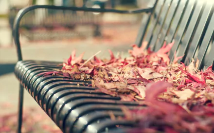 A close-up of a metal bench adorned with vibrant autumn leaves, capturing the essence of nature against a man-made structure. This HD image serves as an inviting desktop wallpaper.