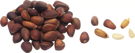 food nut HD Desktop Wallpaper | Background Image