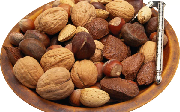 food nut HD Desktop Wallpaper | Background Image