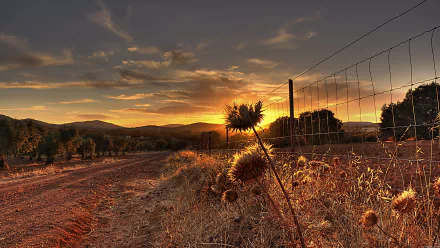man made fence HD Desktop Wallpaper | Background Image