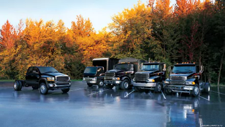  truck