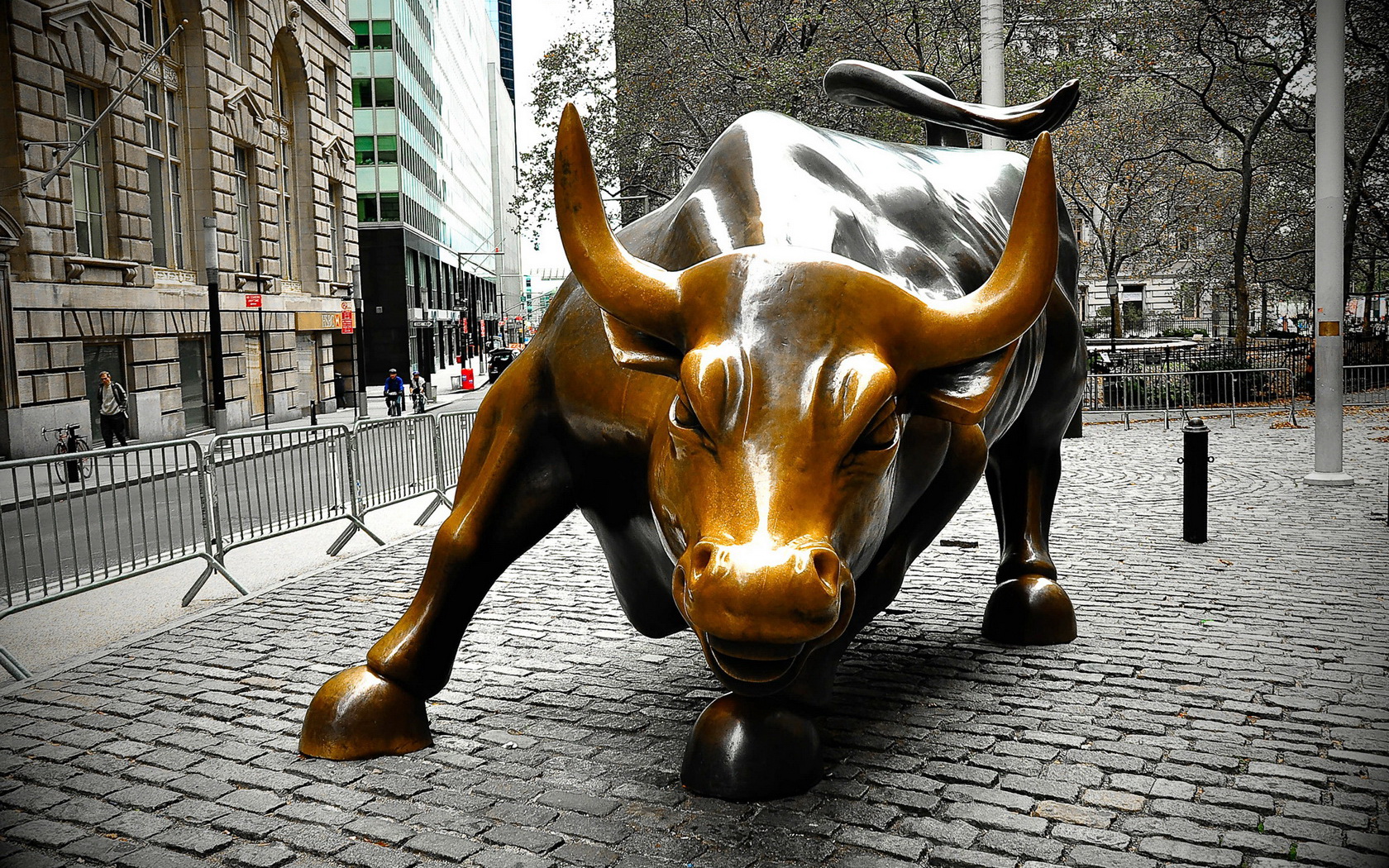 Charging Bull Sometimes Referred To As The Wall Street Bull Bronze Sculpture Manhattan New York 7904