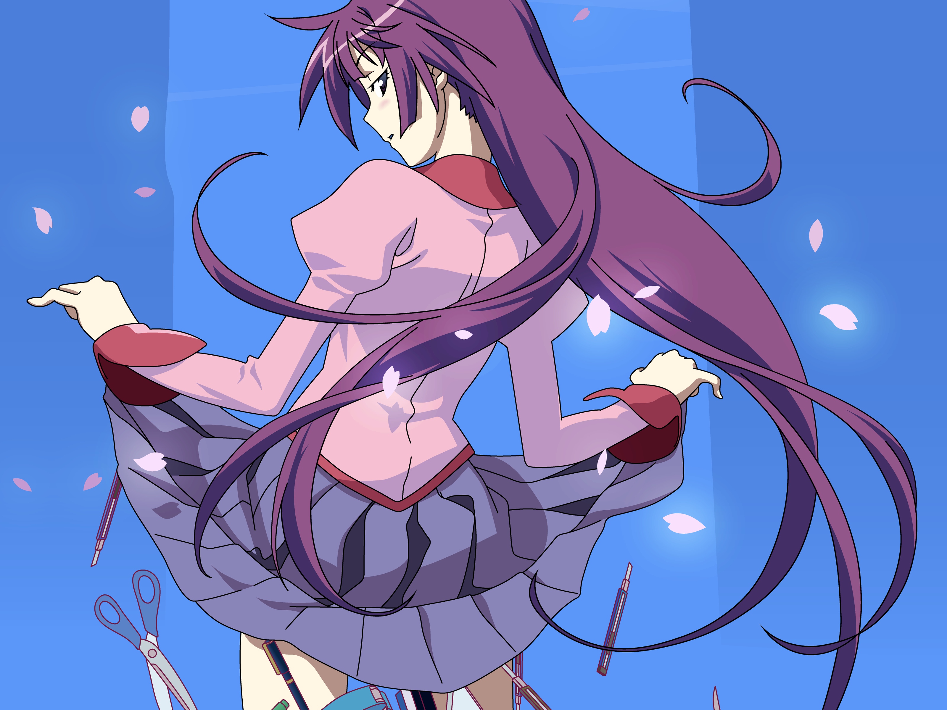 Download Hitagi Senjōgahara Anime Monogatari Series Hd Wallpaper