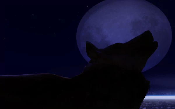 Silhouetted wolf howling against a dark blue twilight sky with a large full moon, designed as an HD PC desktop wallpaper and background.