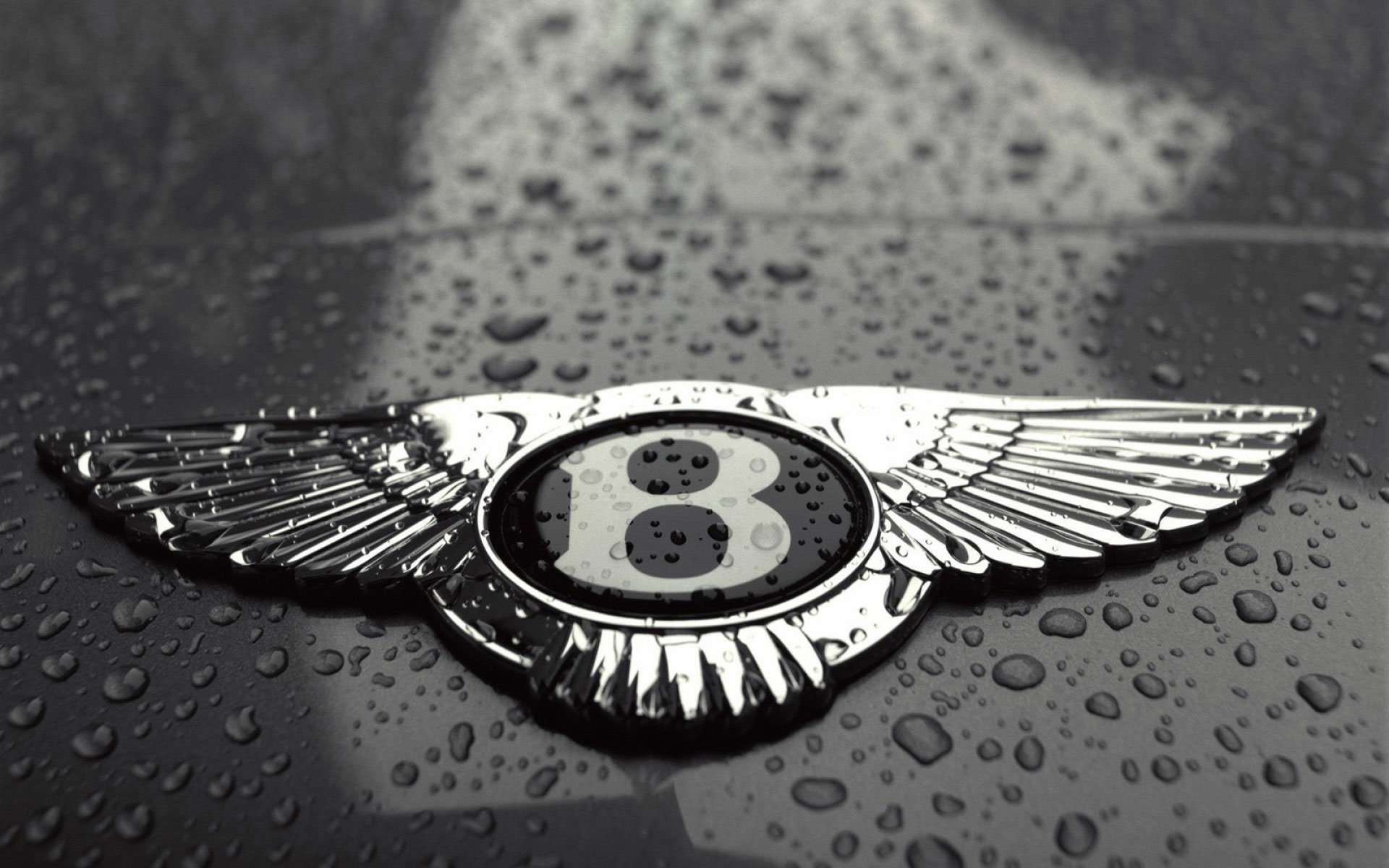 Vehicles Bentley HD Wallpaper