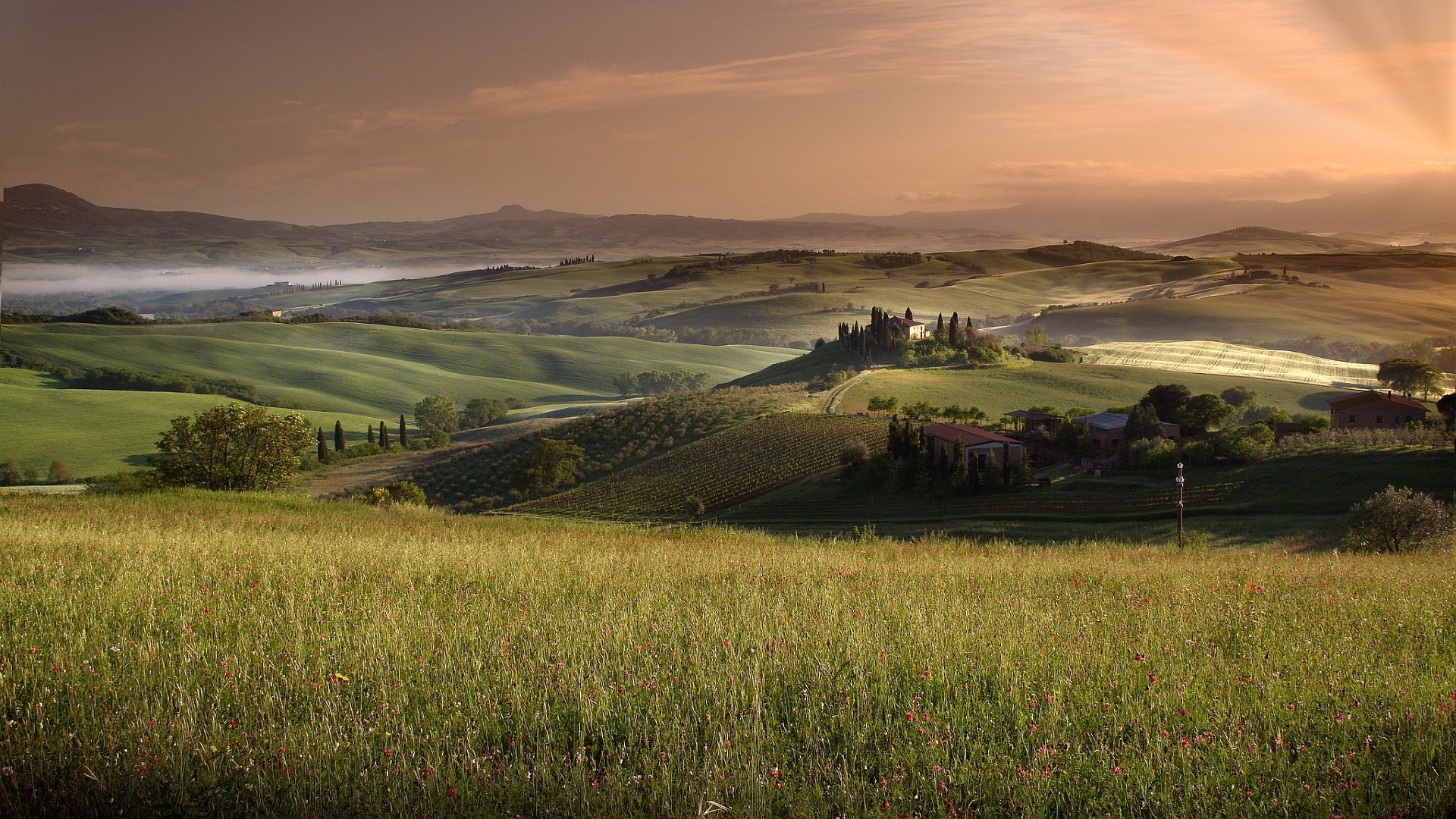 Nature Field HD Wallpaper