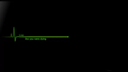 HD desktop wallpaper featuring a black background with a green heartbeat line and the motivational text Live like you were dying.