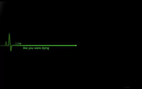 HD desktop wallpaper featuring a black background with a green heartbeat line and the motivational text Live like you were dying.