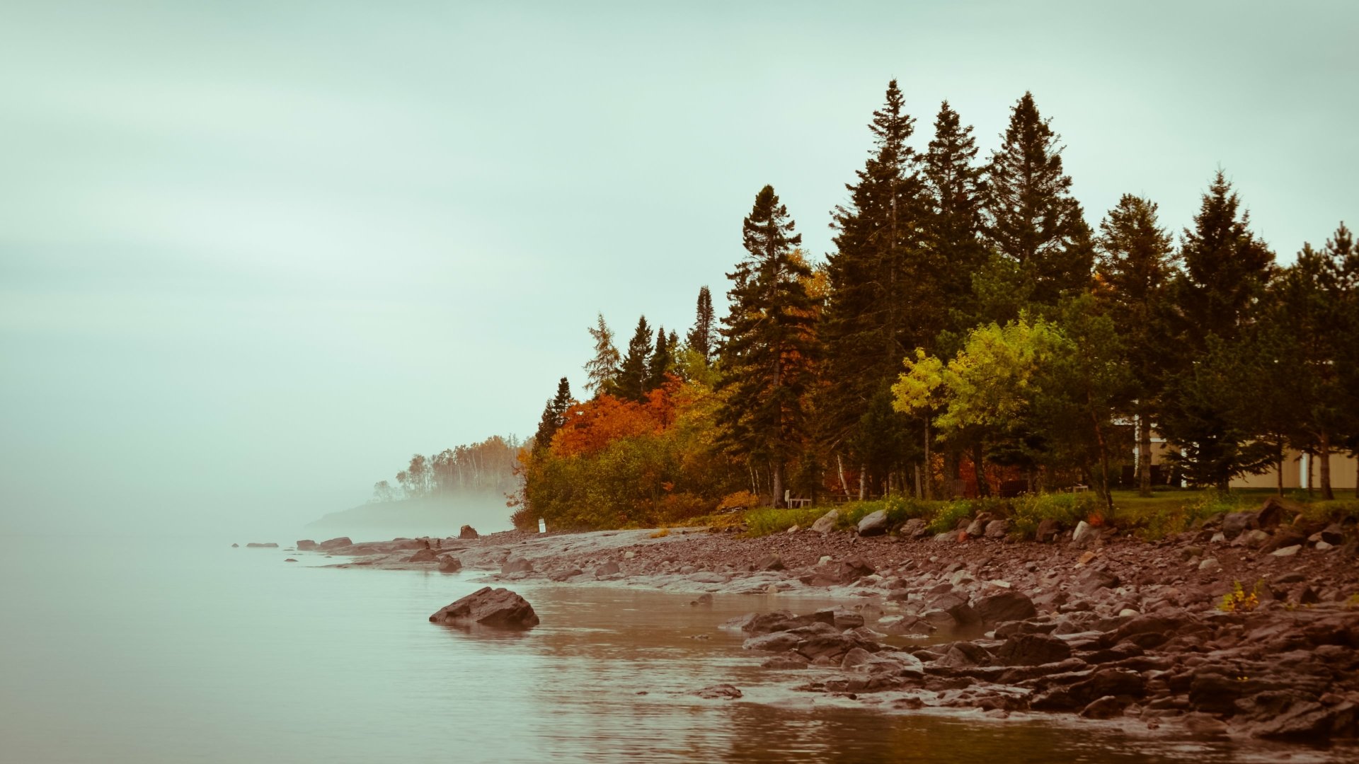 Nature 4K Ultra HD PC desktop wallpaper/background: misty fall shoreline — rocky beach, evergreen and autumnal trees under a pale, cloudy sky.