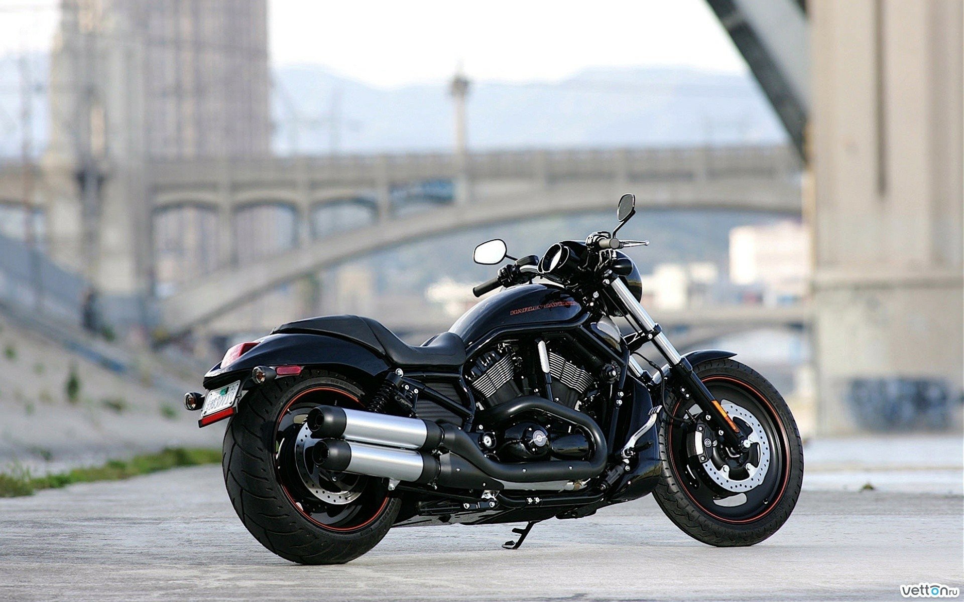 Download Vehicle Harley-Davidson Night Rod HD Wallpaper