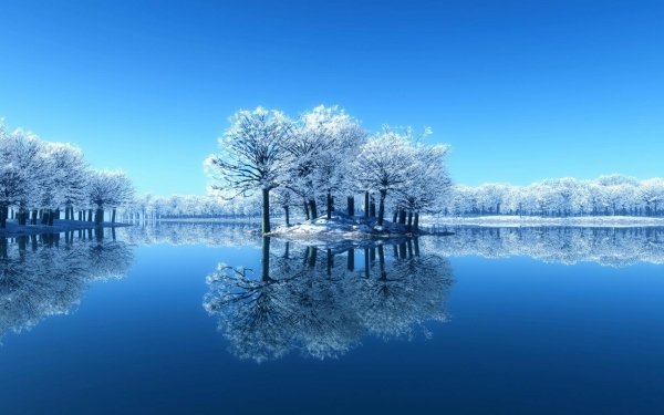 Earth Winter Tree Reflection Lake HD Wallpaper | Background Image