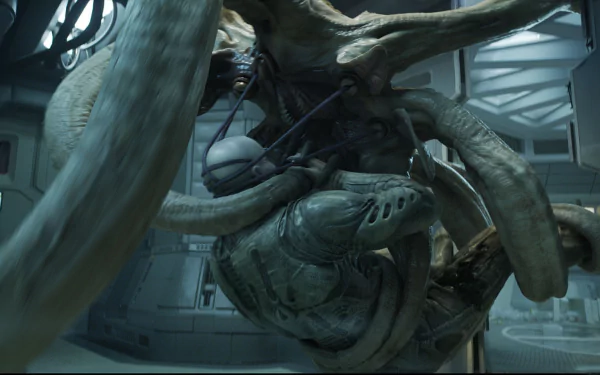 movie Prometheus HD Desktop Wallpaper | Background Image