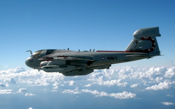 Military Northrop Grumman EA-6B Prowler Jet Fighters Navy HD Wallpaper | Background Image