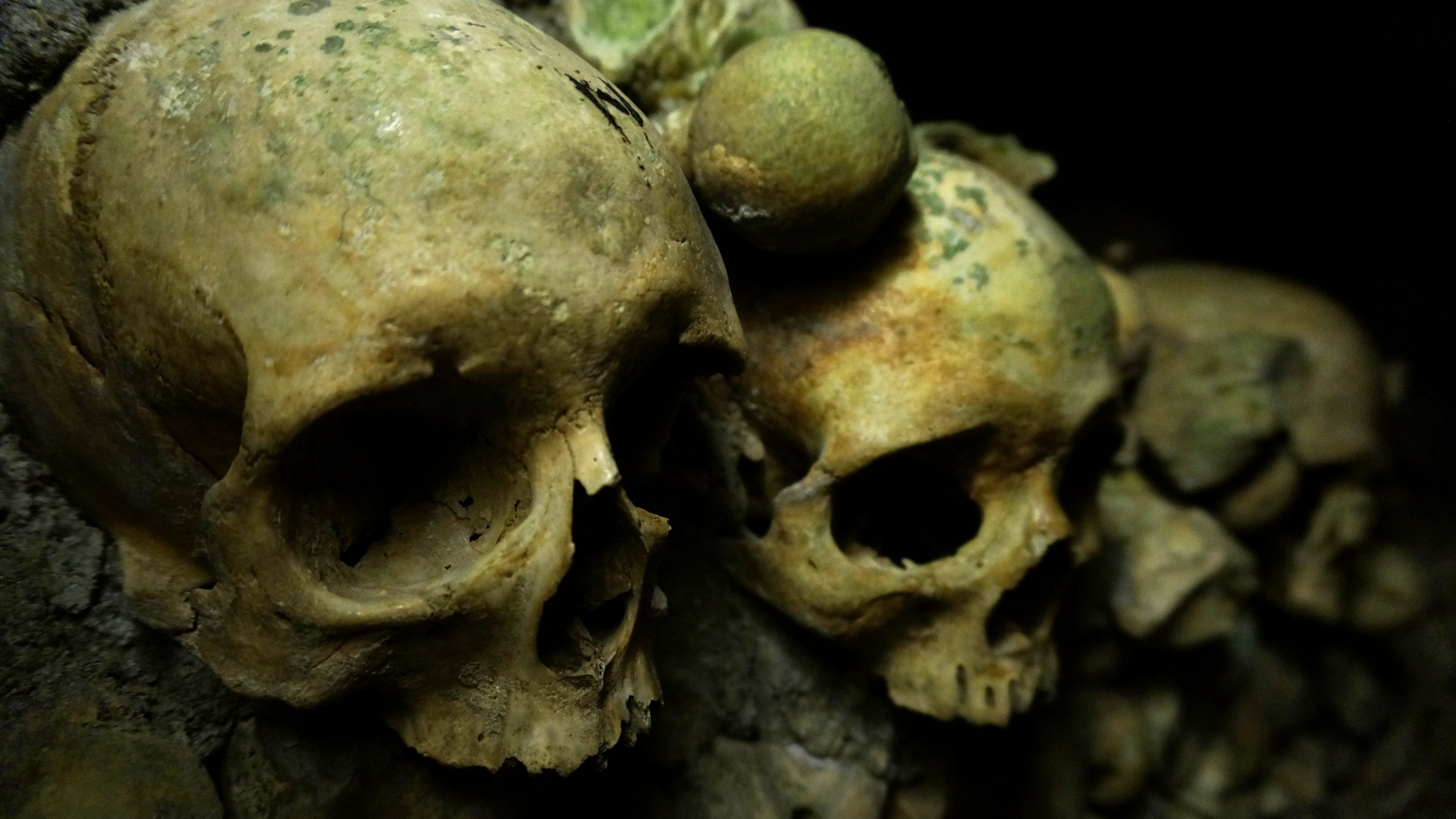  Skull  4k  Ultra HD Wallpaper  Background Image 4912x2763 