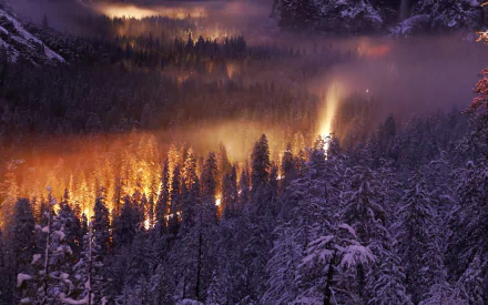 A breathtaking HD desktop wallpaper featuring a winter forest illuminated by warm, glowing lights, with mist hovering over snow-covered trees in a serene landscape.