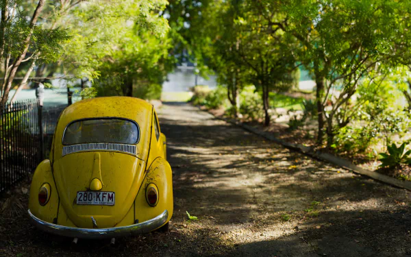 HD desktop wallpaper featuring a classic yellow Volkswagen Beetle parked on a sunlit, tree-lined path.