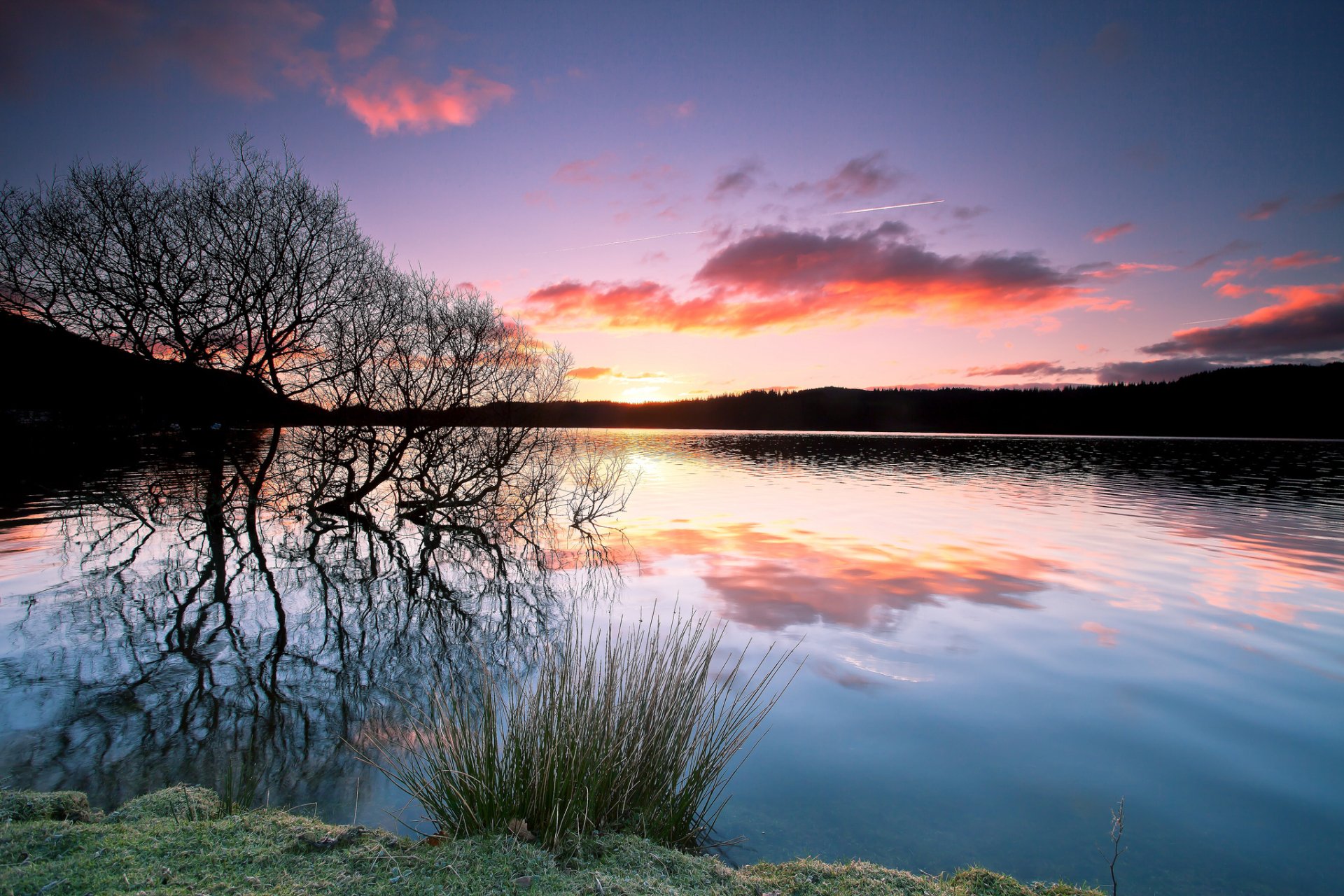 HD desktop wallpaper featuring a serene nature scene with a colorful sunset reflecting on calm lake waters, framed by silhouetted trees and grassy shore.