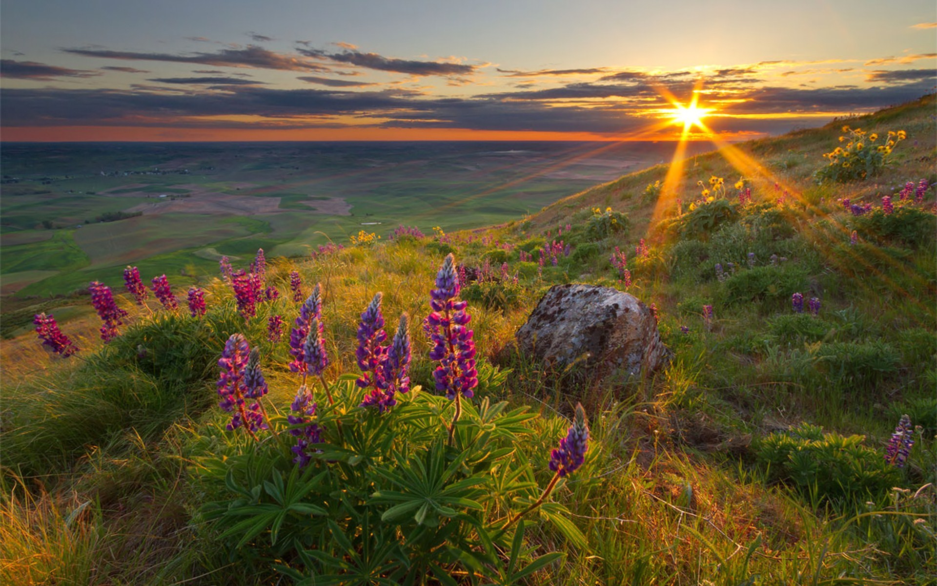 Download Nature Sunrise HD Wallpaper