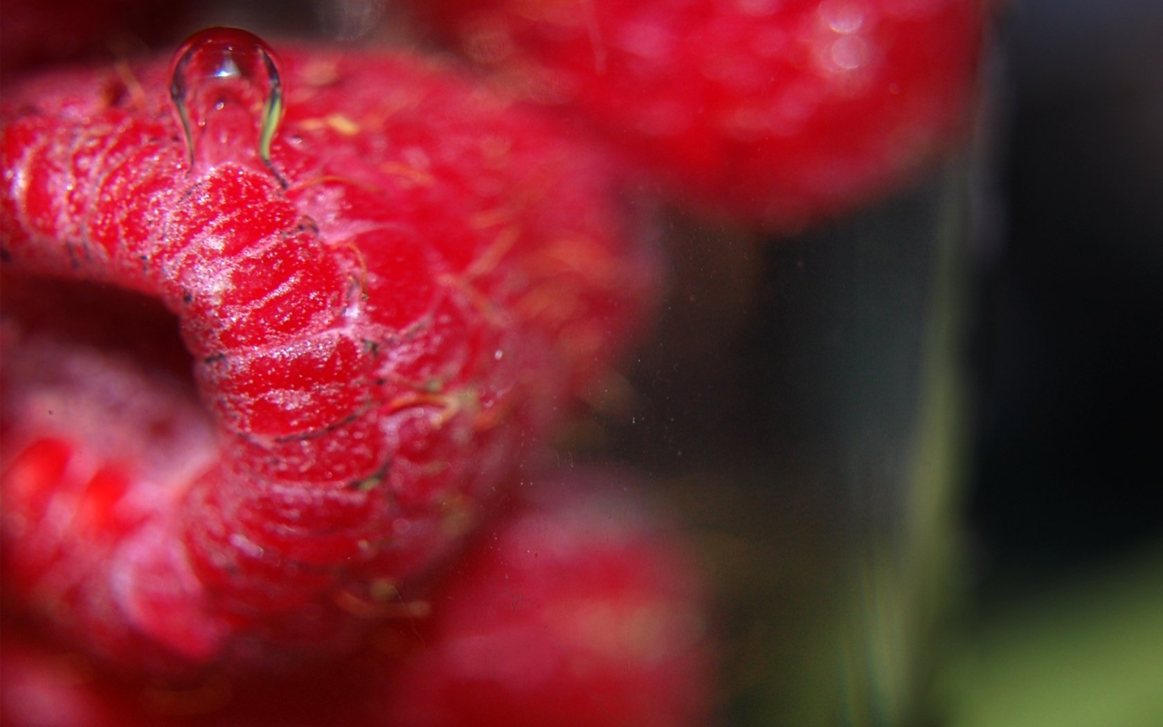 Download Food Raspberry Wallpaper