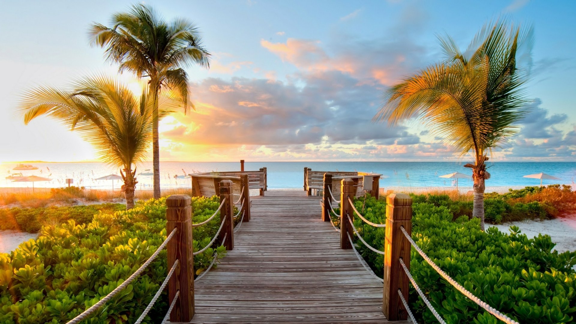 HD PC desktop wallpaper featuring a vibrant beach scene with a wooden boardwalk leading through lush greenery to the ocean at sunset, framed by swaying palm trees.