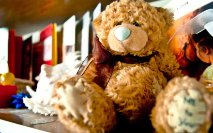  teddy bear