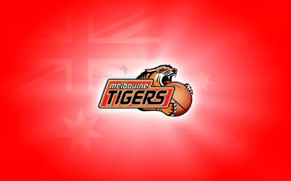 melbourne tigers Sports HD Desktop Wallpaper | Background Image