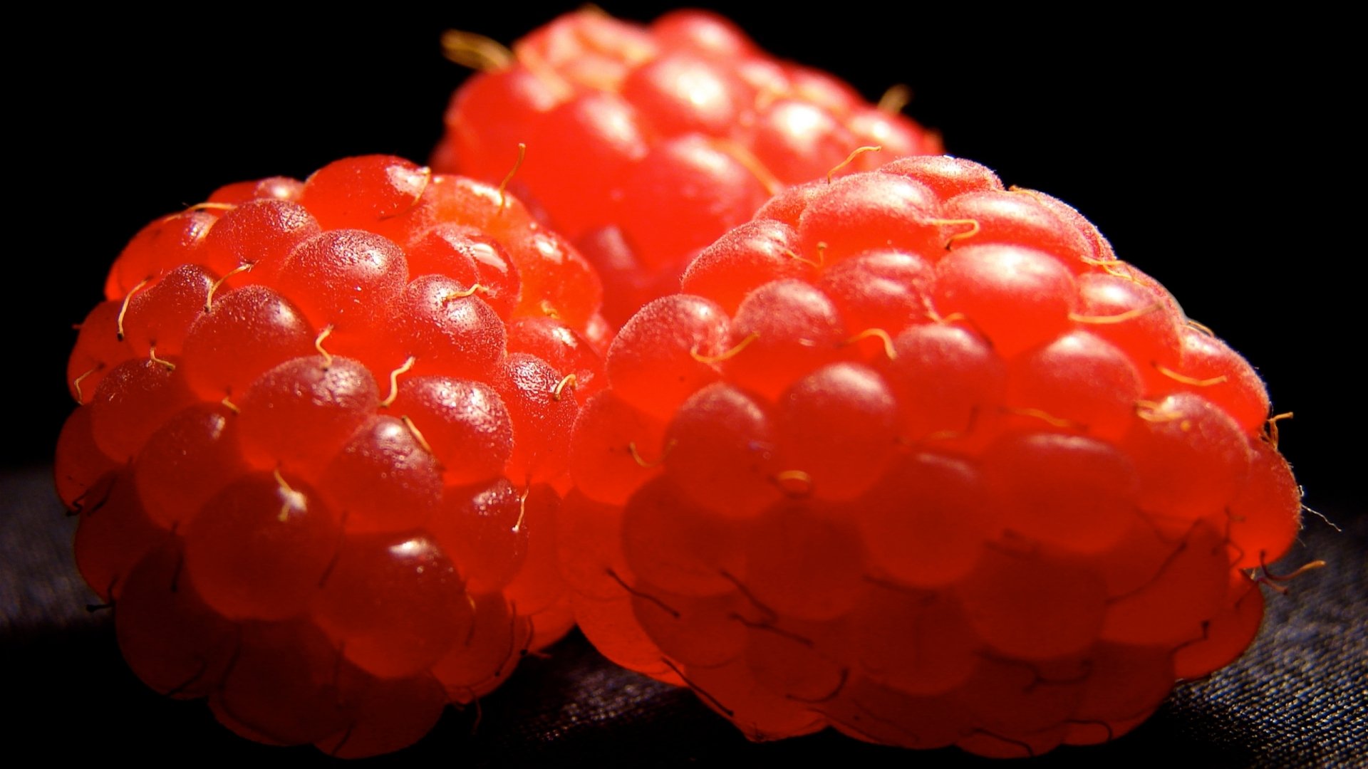 Download Food Raspberry HD Wallpaper | 2560x1440 | Wallpaper Abyss