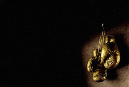 A striking HD desktop wallpaper featuring a pair of golden boxing gloves hanging against a dark backdrop, embodying the essence of the sport.