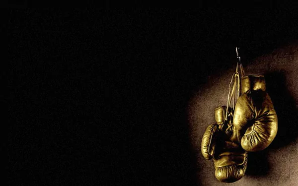 A striking HD desktop wallpaper featuring a pair of golden boxing gloves hanging against a dark backdrop, embodying the essence of the sport.
