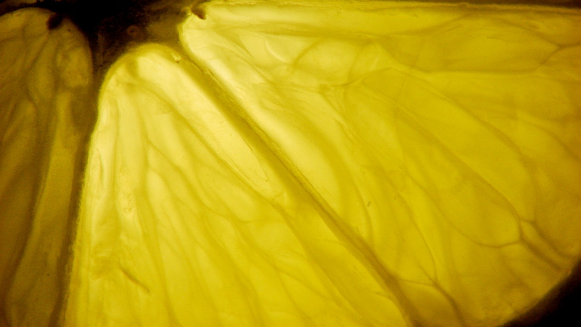 Download Food Lemon HD Wallpaper