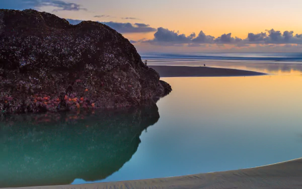 nature cliff HD Desktop Wallpaper | Background Image