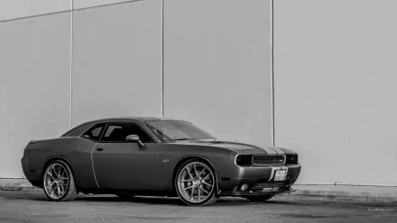 Black Dodge Challenger SRT8 parked against a plain wall, captured in high-definition for a sleek PC desktop wallpaper and background.