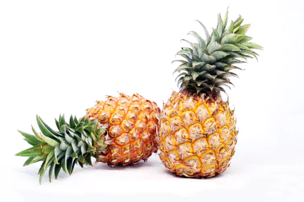 HD PC desktop wallpaper featuring two ripe pineapples on a clean white background, showcasing vibrant colors and detailed textures of the tropical fruit.