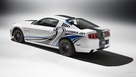 vehicle ford mustang cobra jet twin-turbo HD Desktop Wallpaper | Background Image