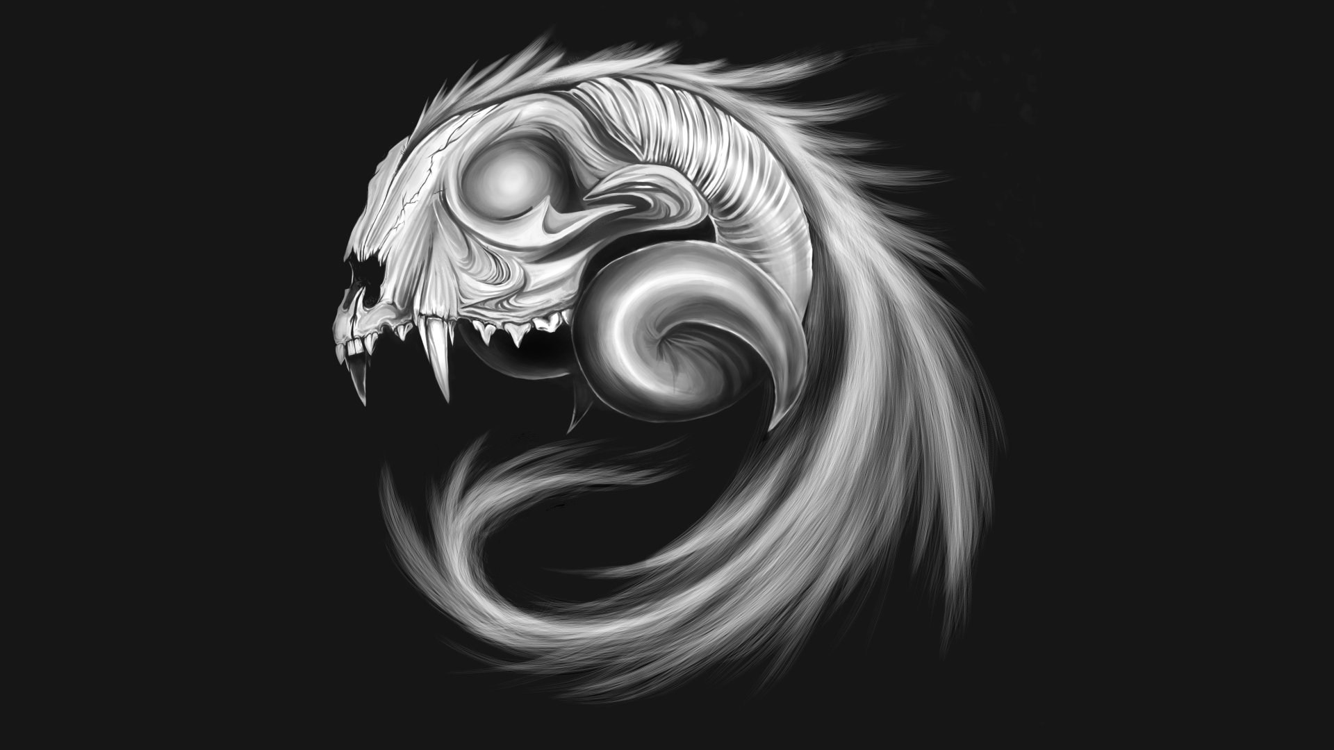  Skull  8k  Ultra HD Wallpaper  Background Image 9900x5569 