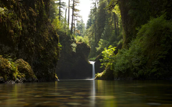 HD wallpaper featuring a serene waterfall in a lush forest, viewed from a river. Perfect as a tranquil desktop background.