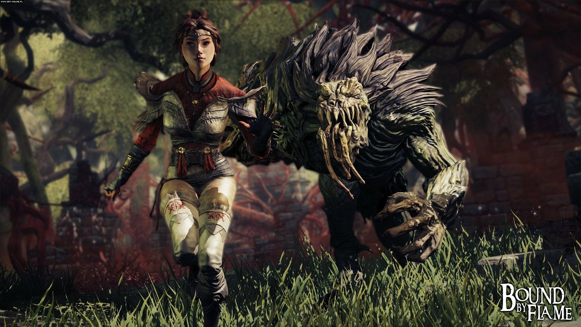 Download Video Game Bound By Flame HD Wallpaper