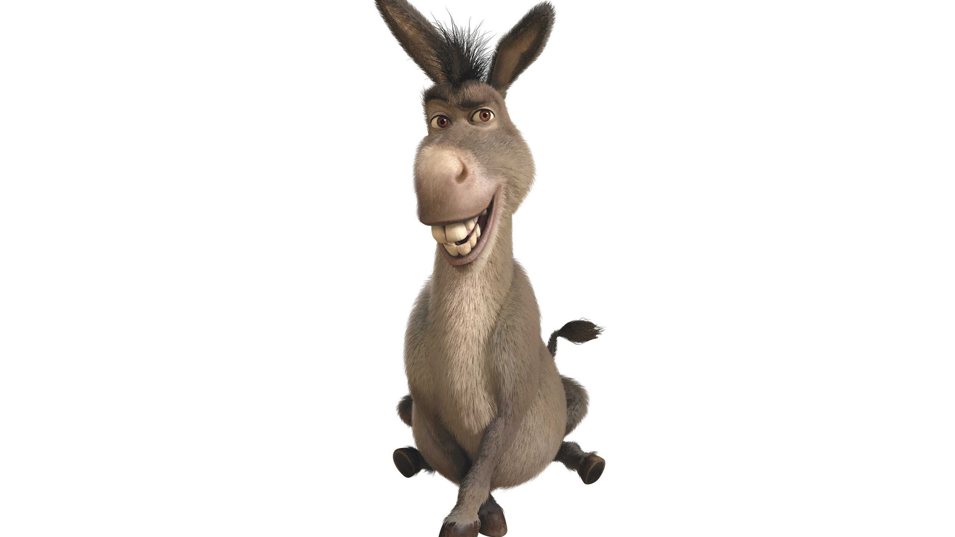 Burro shrek4k