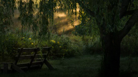 HD desktop wallpaper featuring a man-made wooden bench nestled beneath a tree in a shaded, lush green garden setting.
