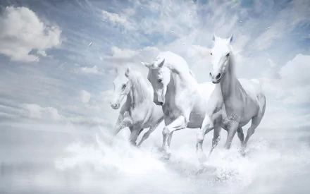 Three striking white horses gallop through a misty landscape under a dreamy sky. This HD wallpaper captures the beauty and grace of these majestic animals.