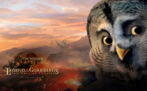HD desktop wallpaper featuring a close-up of an owl from the movie Legend of the Guardians: The Owls of Ga'Hoole, set against a dramatic sunset landscape.