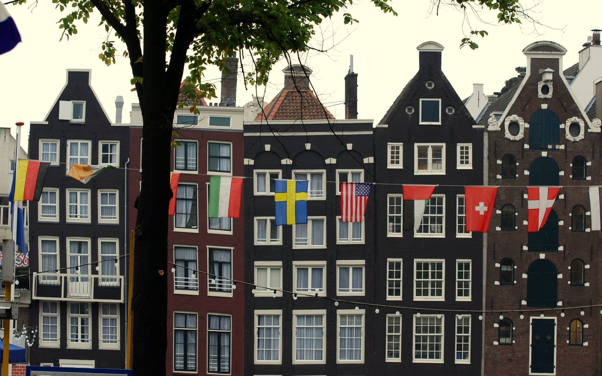 HD desktop wallpaper showing classic Amsterdam canal houses adorned with international flags, framed by a tree in a man-made urban setting.