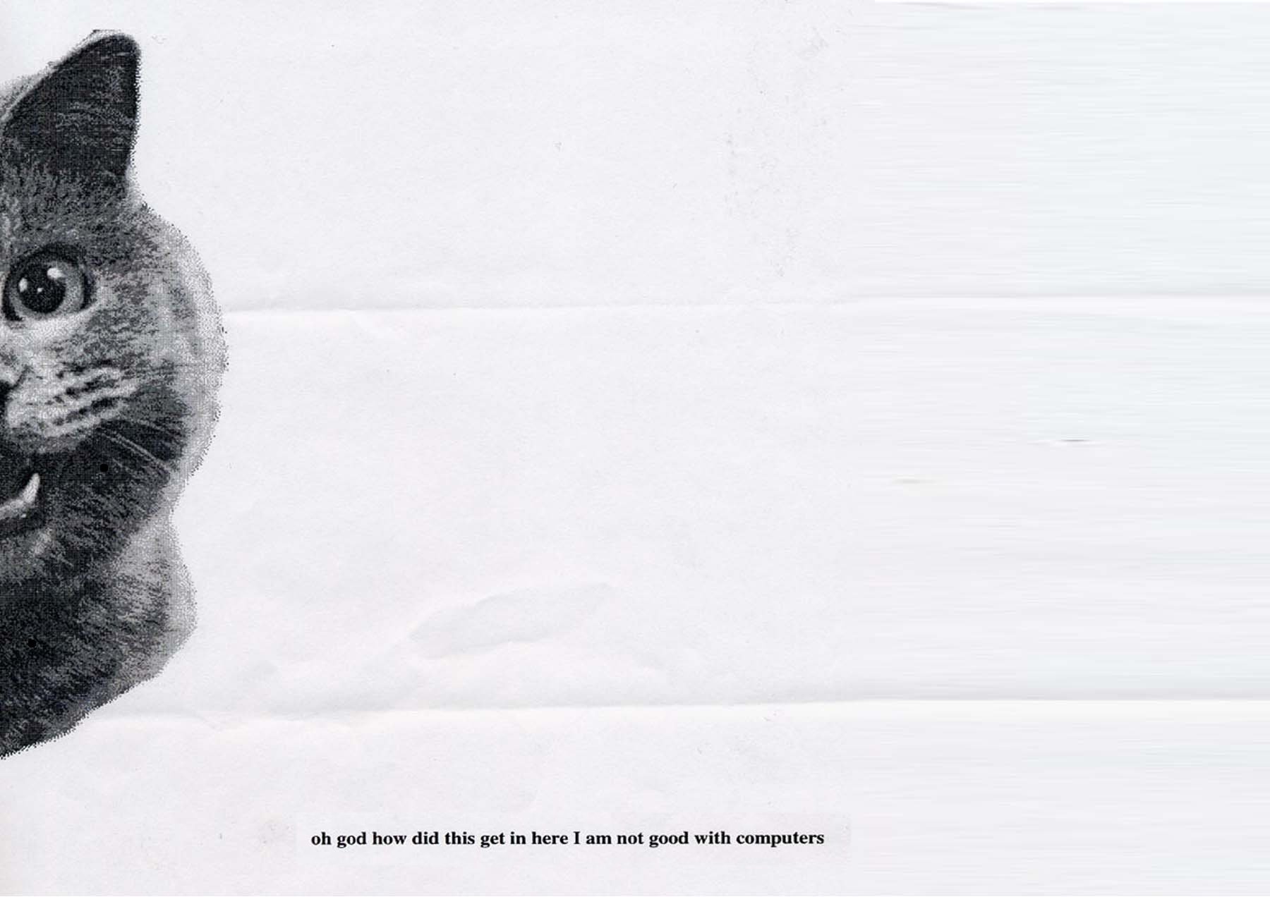 Download Funny Animal Wallpaper